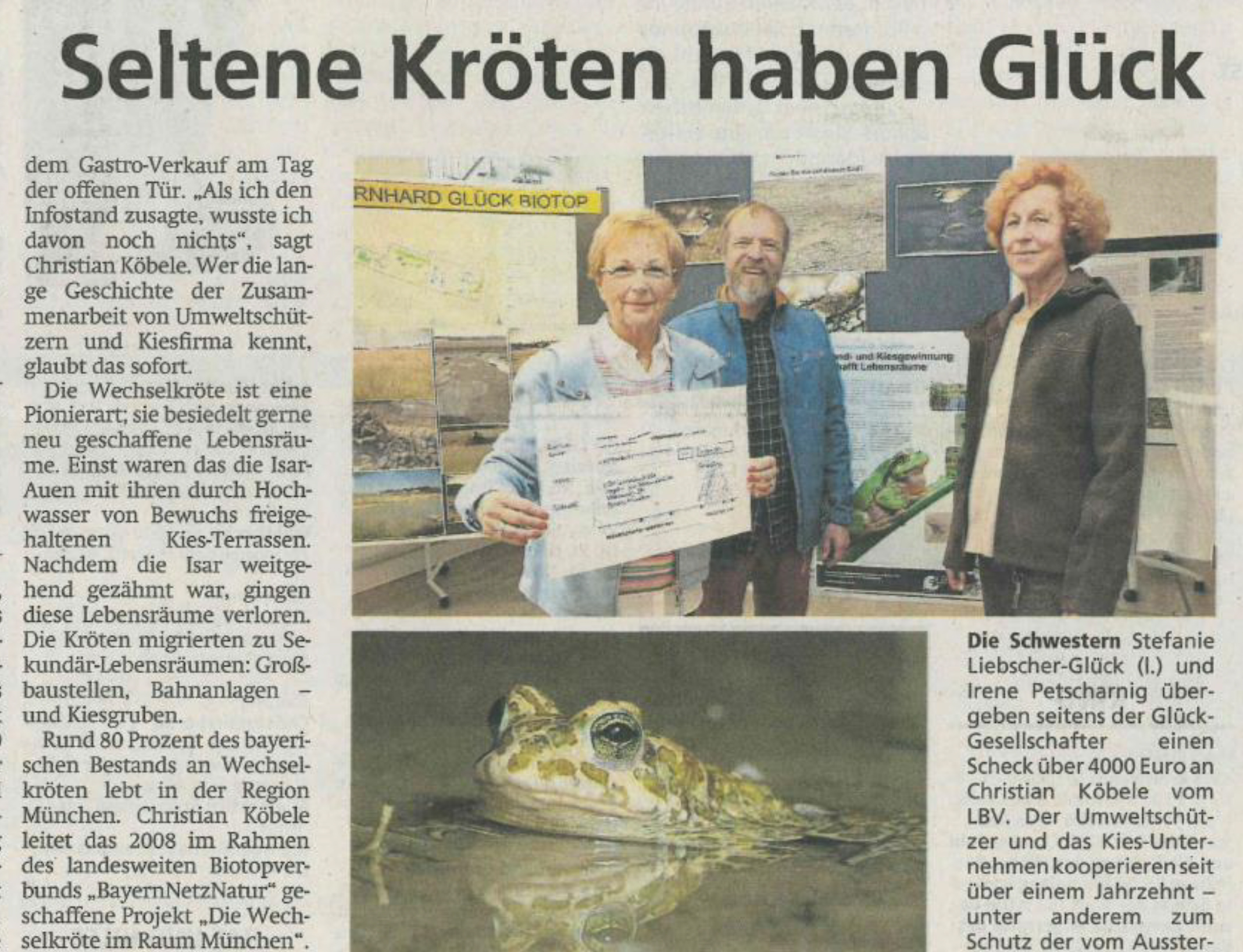 Seltene Kröten haben Glück